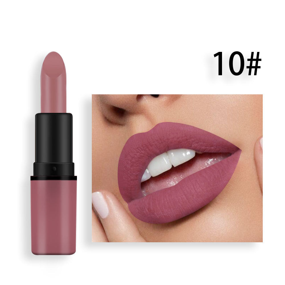 Matte Lipstick Plum Nude Red Long Lasting Color