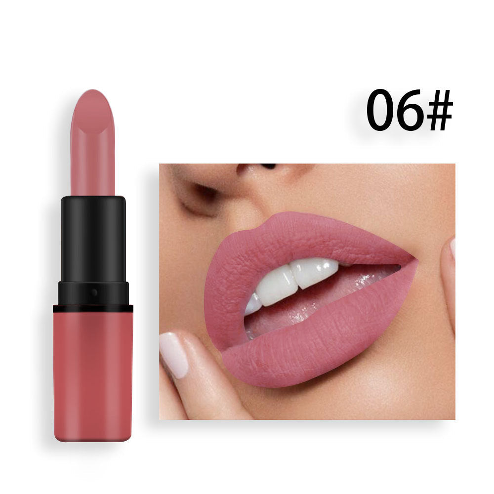Matte Lipstick Plum Nude Red Long Lasting Color