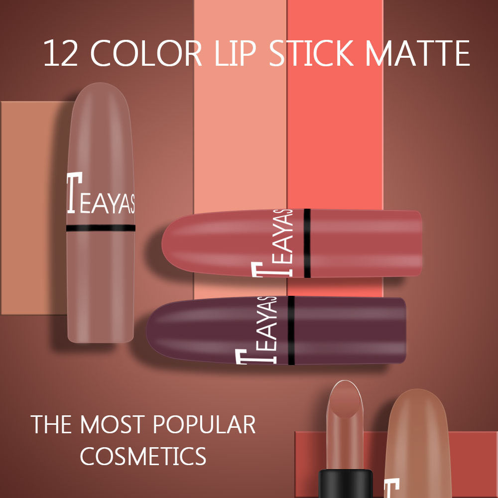 Matte Lipstick Plum Nude Red Long Lasting Color