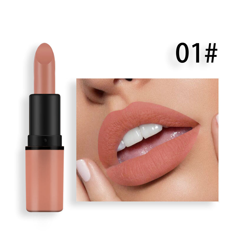 Matte Lipstick Plum Nude Red Long Lasting Color