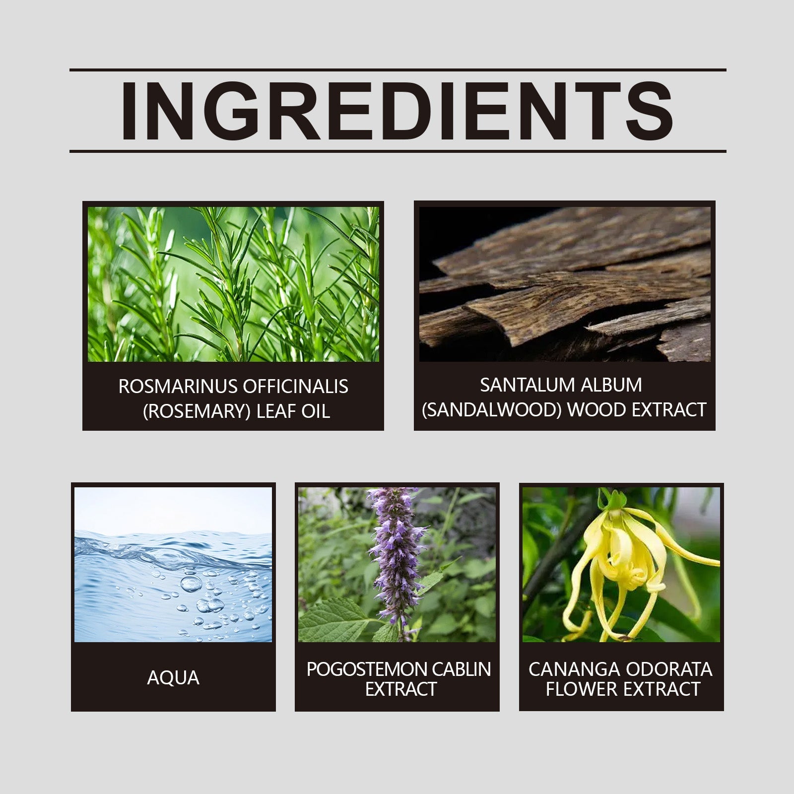 Strong Cologne Body Spray Elegant Plant Extract Fragrance