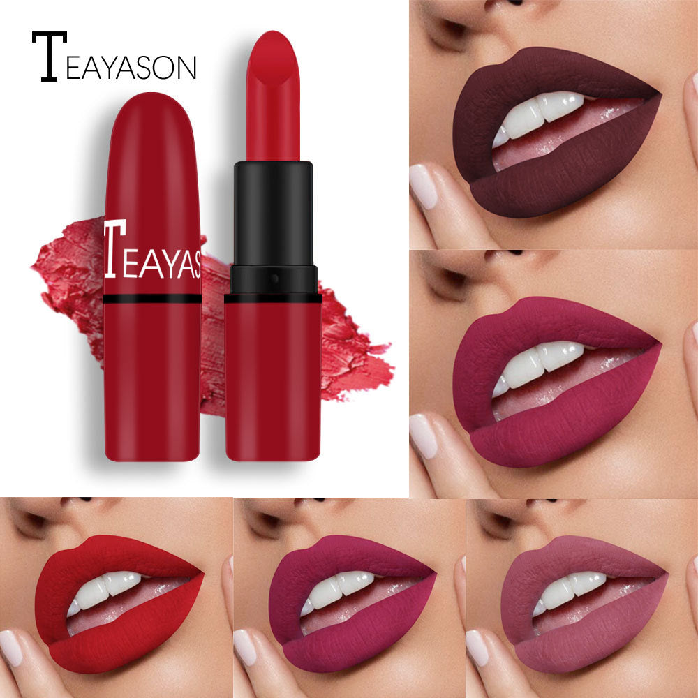 Matte Lipstick Plum Nude Red Long Lasting Color