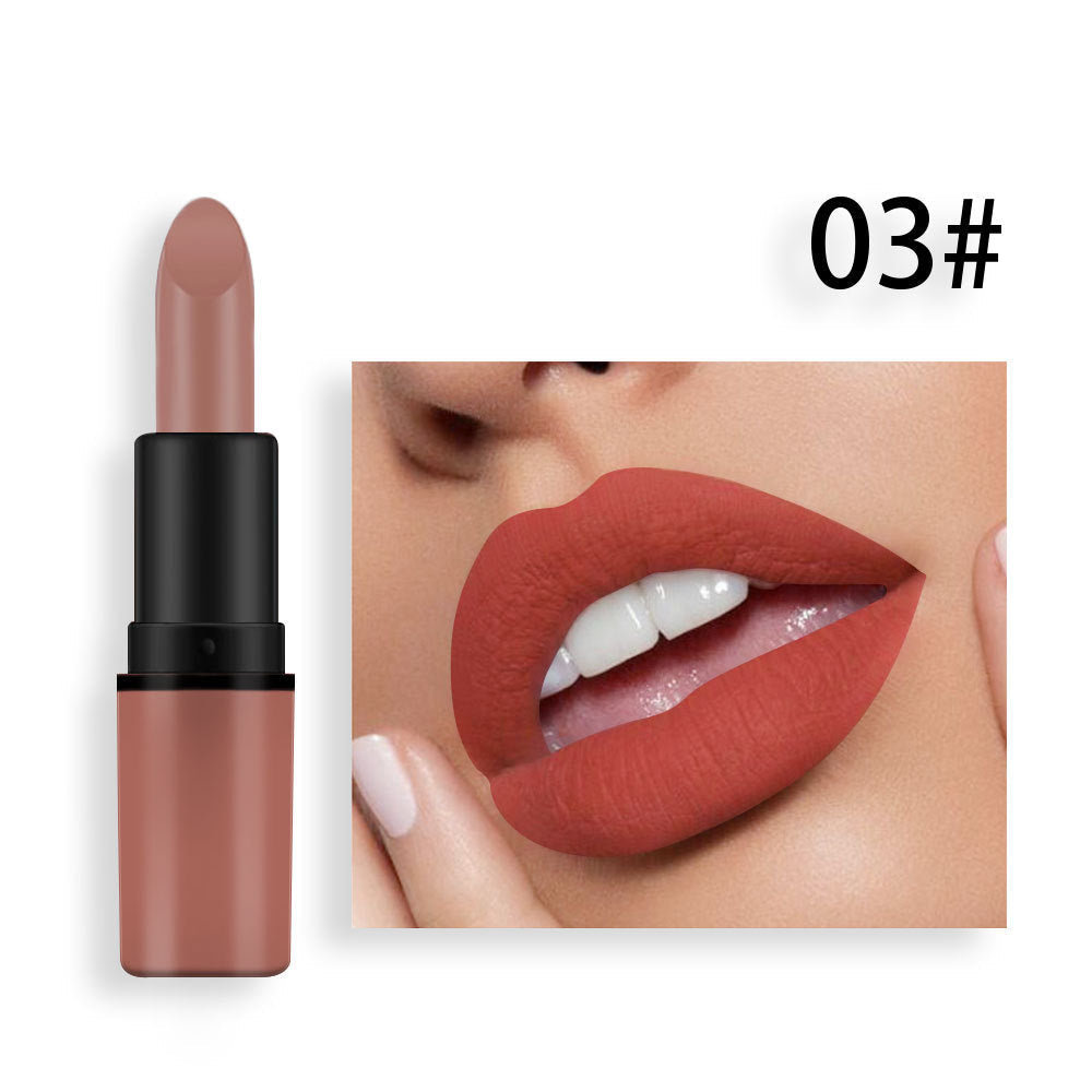Matte Lipstick Plum Nude Red Long Lasting Color