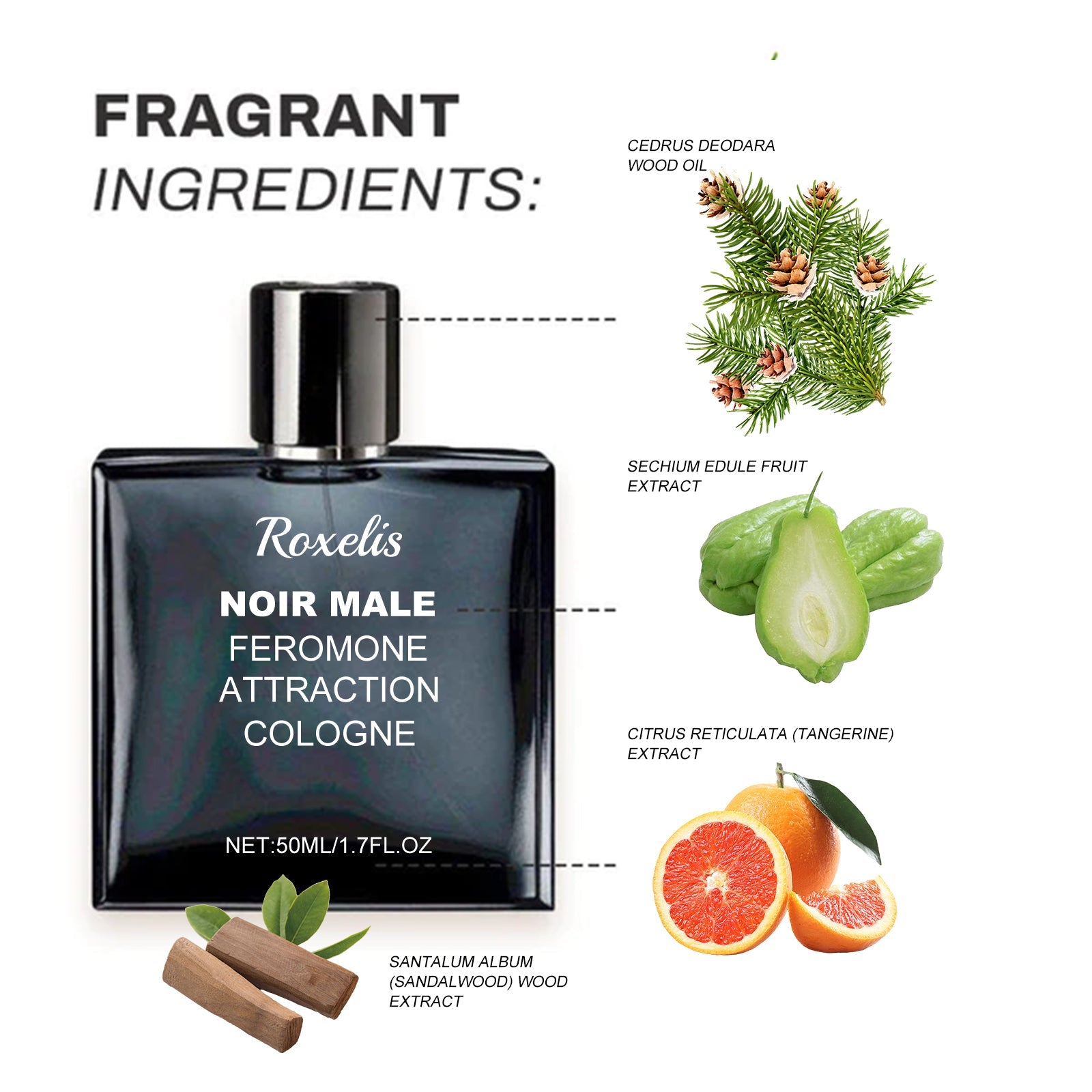 Attraction Cologne Refreshing Long Lasting Fragrance