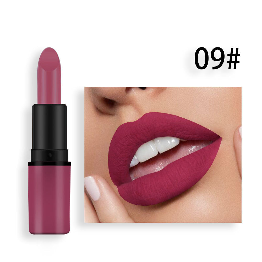 Matte Lipstick Plum Nude Red Long Lasting Color